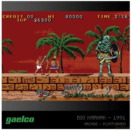 BLAZE EVERCADE Gaelco Arcade cartridge 2