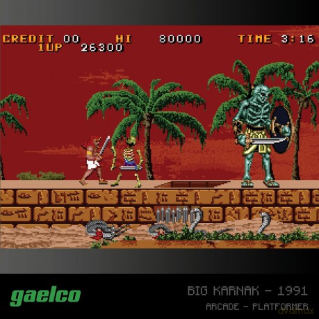 BLAZE EVERCADE Gaelco Arcade cartridge 2
