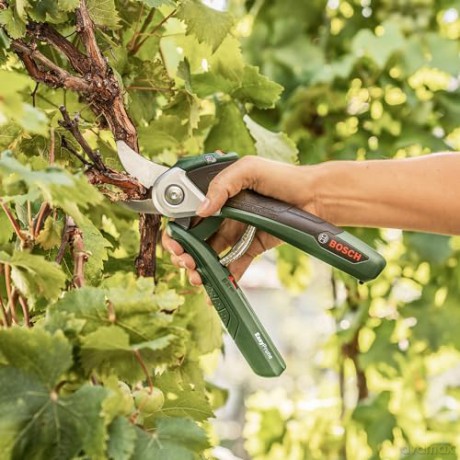 Bosch - Battery Pruning Scissors Easy Prune 3.6V