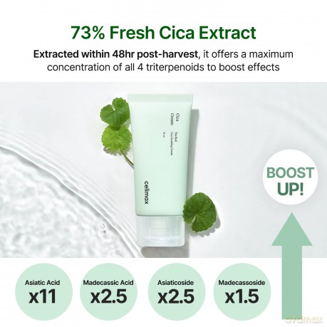 Celimax - The Real Cica Soothing Cream - Green - 50 ml [KOMSETYKI]