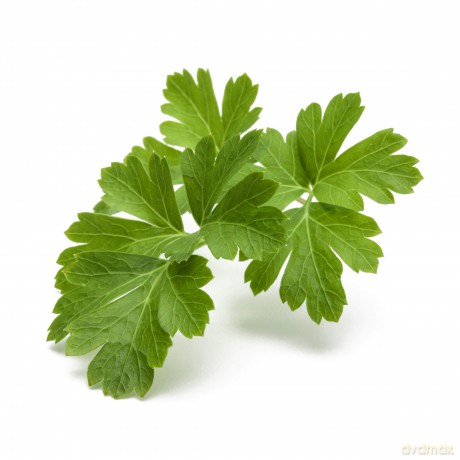 Click and Grow - Smart Garden Refill 3-pack Plain Parsley