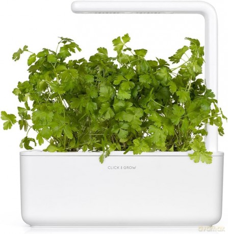 Click and Grow - Smart Garden Refill 3-pack Plain Parsley