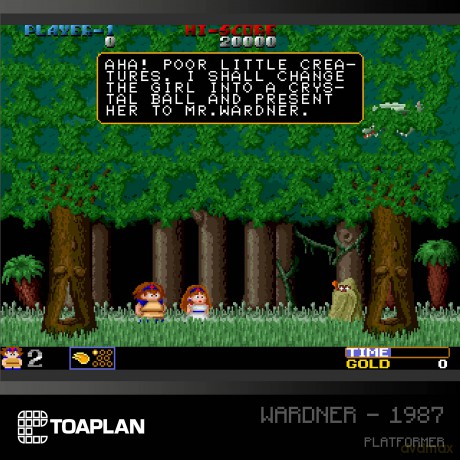 EVERCADE Toaplan Arcade Collection 2