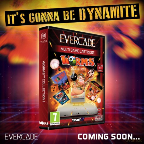 Evercade Worms Collection 1 Cartridge