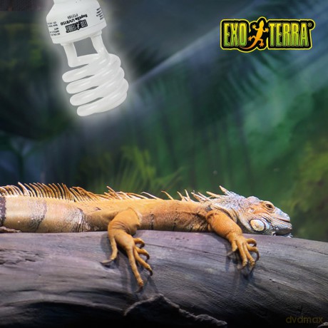 EXOTERRA - Reptile Uvb 150 Fluorescent lamp 13W E27 - (220.1880)