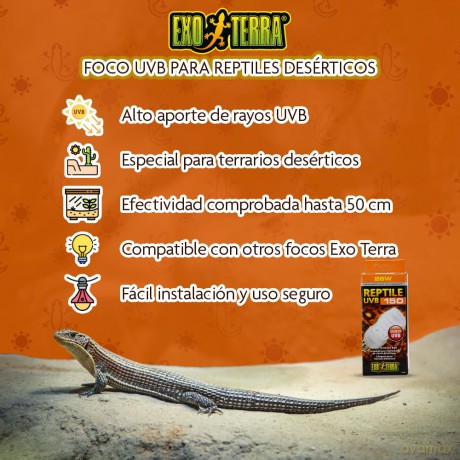 EXOTERRA - Reptile Uvb 150 Fluorescent lamp 13W E27 - (220.1880)