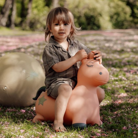 Find that hippo - Jumping animal - unicorn (53100100)