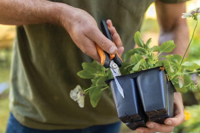 Fiskars - Solid Multi-Purpose Snips SP320