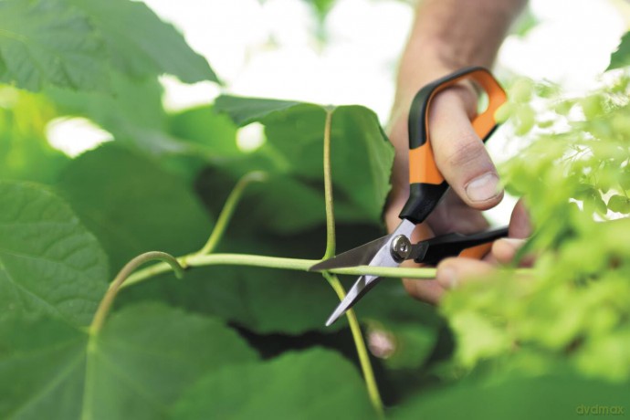 Fiskars - Solid Snip Pruning Shears - SP150