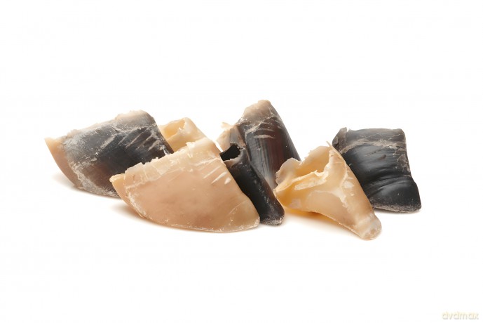Frigera - Natural Dog Chews - Calf Claw - 10 pcs