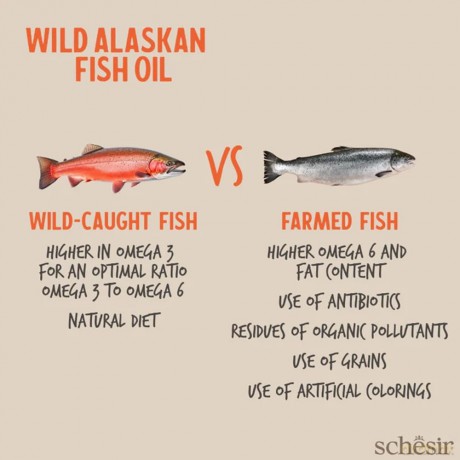 Olej dla psa i kota Grizzly - Schesir Grizzly Wild Alaskan salmon oil 500ml