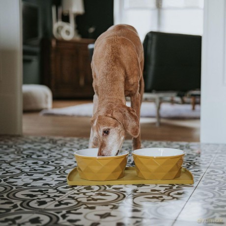Hunter - Ceramic Bowl Eiby - 1900ml - yellow