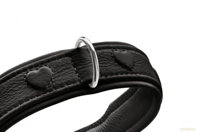 Hunter - Dog collar leather Soho X Love - 32/XS - Black