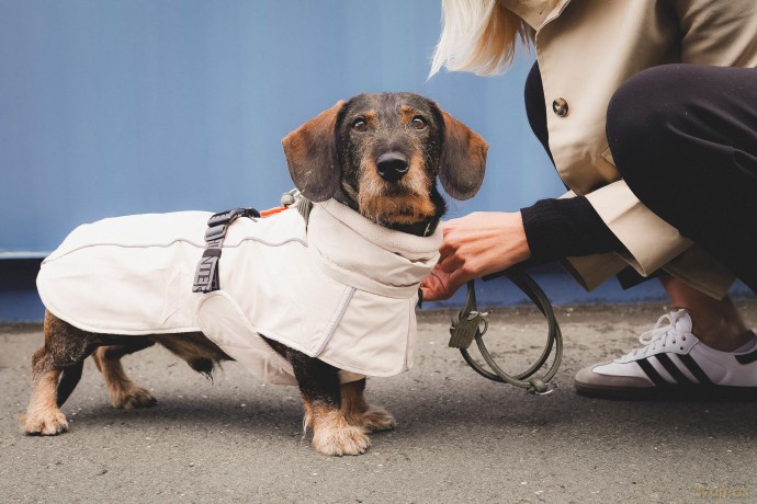Hunter - Dogcoat Nordby Dachshund 45, cream - (203487)