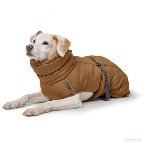 Hunter - Dogcoat Paxson 30, caramel - (203449)