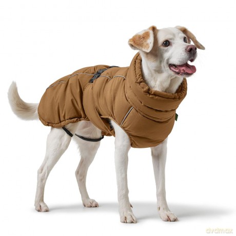 Hunter - Dogcoat Paxson 30, caramel - (203449)