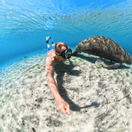 Insta360 - X5 Invisible Dive Case