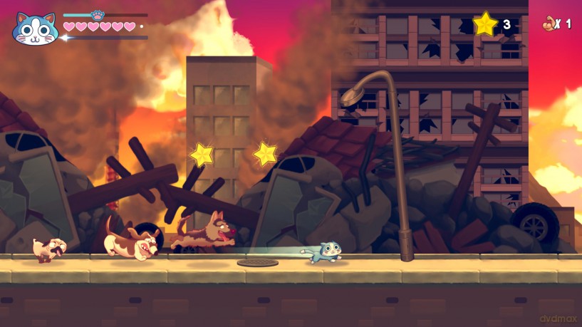 KinnikuNeko: Super Muscle Cat [GRA PS5]