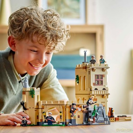LEGO Harry Potter TM - Hogwarts Castle: Flying Lessons (76447)