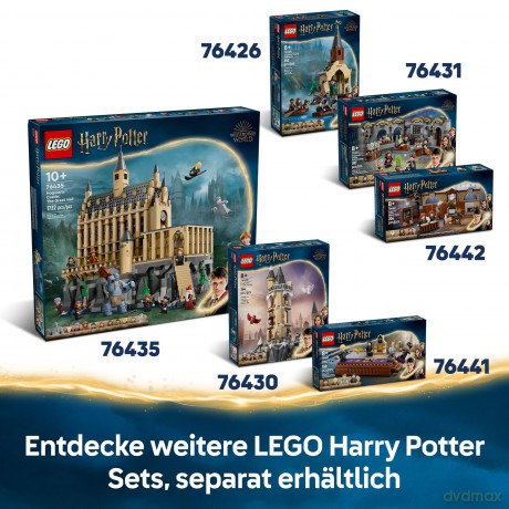 LEGO Harry Potter TM - Hogwarts Castle: Flying Lessons (76447)