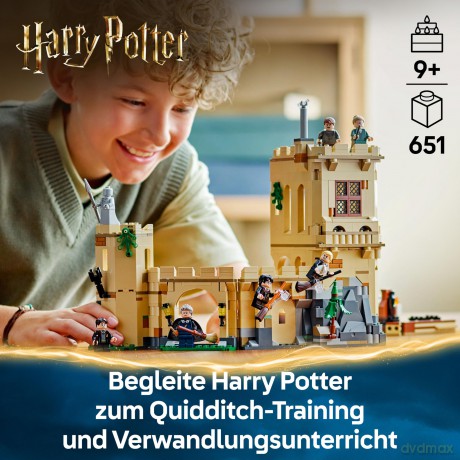LEGO Harry Potter TM - Hogwarts Castle: Flying Lessons (76447)