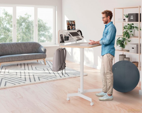 Leitz - Sit/standing desk Ergo Small manually w/wheels - white