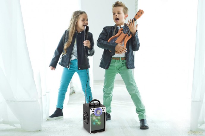 Liniex - Karaoke Machine W/Bluetooth (30135)