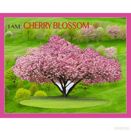 Madd Capp - I Am Cherry Blossom 1000 pcs Puzzle (105700)