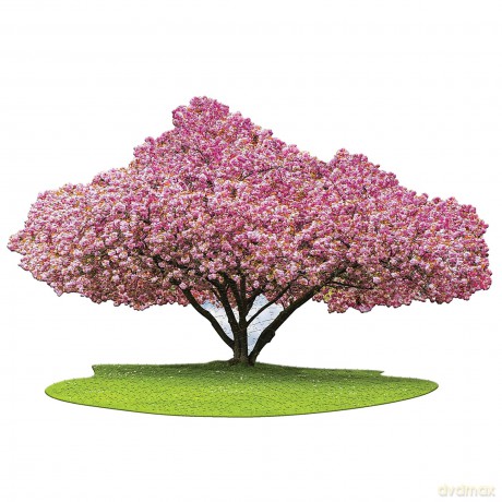 Madd Capp - I Am Cherry Blossom 1000 pcs Puzzle (105700)