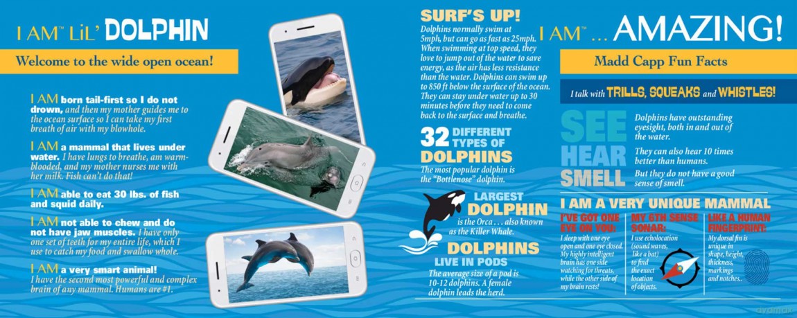 Madd Capp - I Am LiL' Dolphin 100 pcs Puzzle (105200)