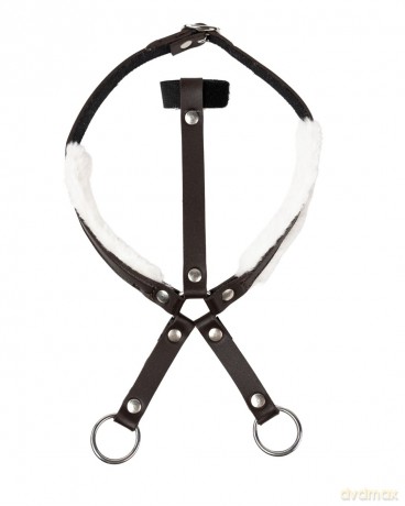 My Hobby Horse - Black martingale (MHH026001)