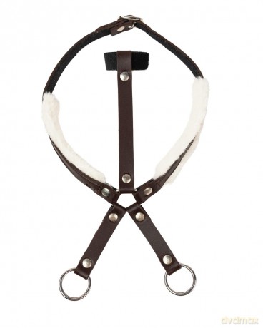 My Hobby Horse - Brown martingale (MHH026002)