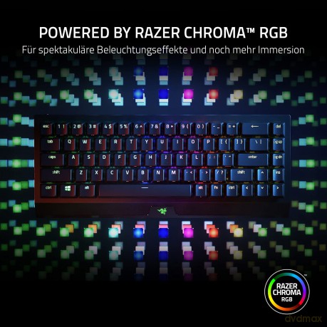Razer - Blackwidow V3 Mini Hyperspeed (Yellow Switch) - US