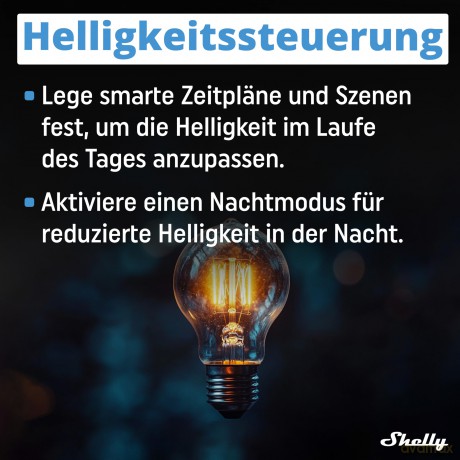 Shelly - Dimmer 0/1-10V PM Gen3