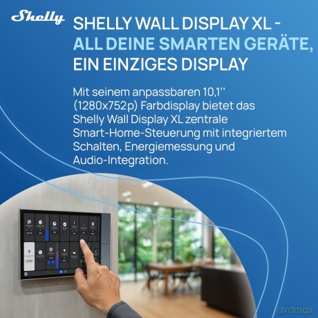 Shelly-Wall Display - XL - Silver