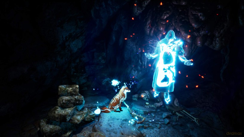 Spirit of the North [GRA PS4]