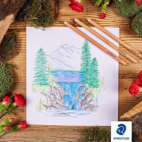 Staedtler - Pastel pencils, 12 pcs (146P C12)
