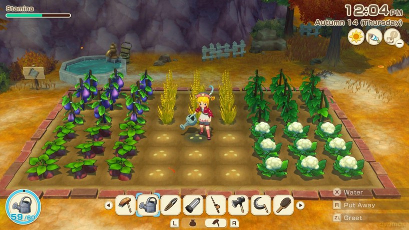 Story of Seasons: Grand Bazaar [GRA SWITCH]