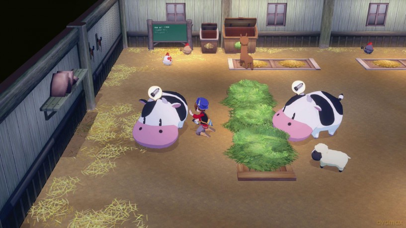 Story of Seasons: Grand Bazaar [GRA SWITCH 2]