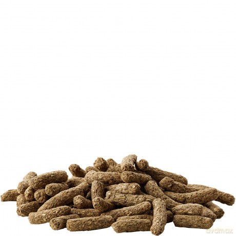 Versele - Cavia complete - 8kg