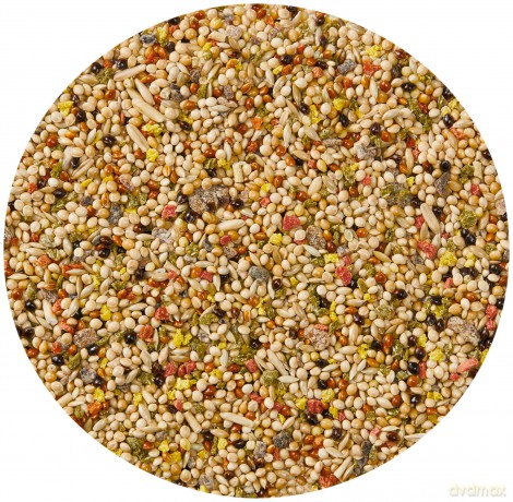 Vitakraft - Fruit Cocktail for budgies