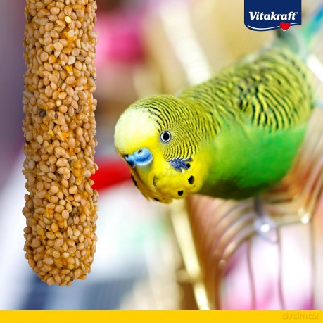 Vitakraft - Kr¤cker Mix banana/herbs/kiwi for budgies