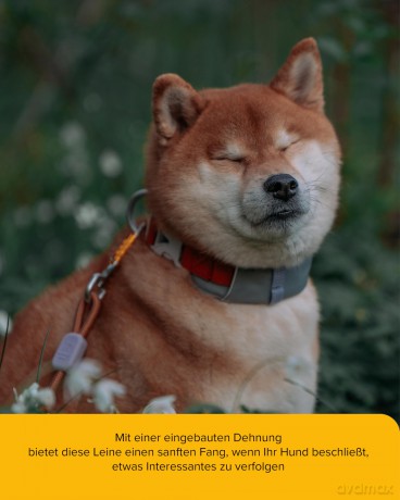 Woolly Wolf - Rope Leash - 180cm - 10mm