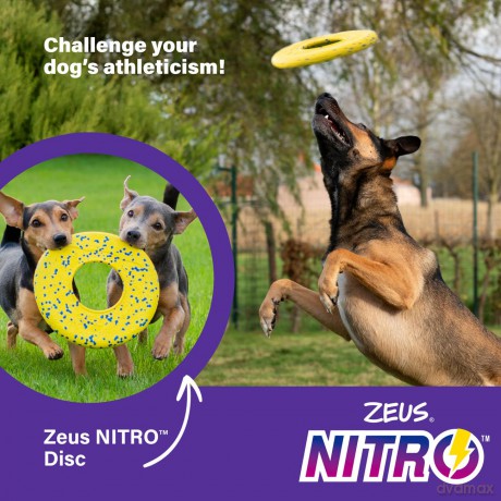 Zeus Nitro - Flying Disc - Yellow and Blue - 24cm