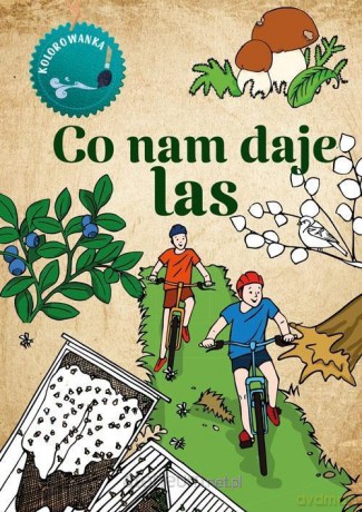 Kolorowanka. Co nam daje las - Katarzyna Kopiec Sekieta [KSIĄŻKA]