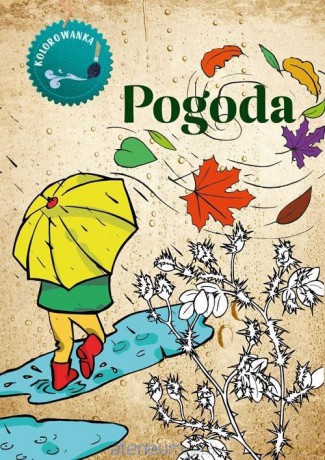 Kolorowanka. Pogoda - Katarzyna Kopiec Sekieta [KSIĄŻKA]