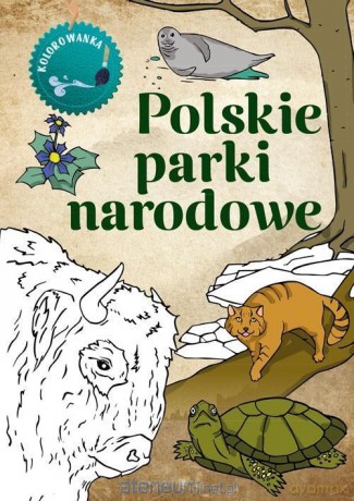 Kolorowanka. Polskie parki narodowe - Katarzyna Kopiec Sekieta [KSIĄŻKA]