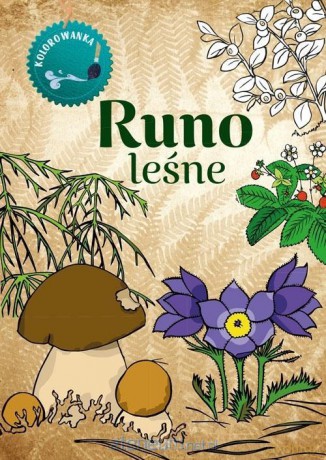 Kolorowanka. Runo Leśne - Katarzyna Kopiec Sekieta [KSIĄŻKA]