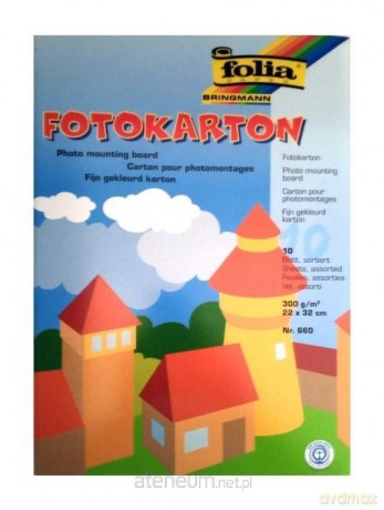 Teczka z kartonem kolorowym 300g 10 arkuszy