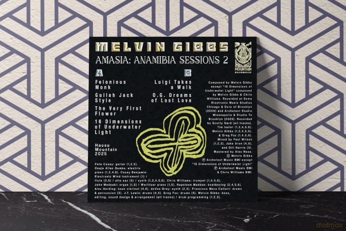 Melvin Gibbs: Amasia: Anamibia Sessions 2 [Winyl]